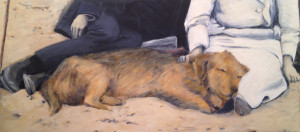 beach dog 2